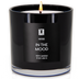 In The Mood | Luxury Scented Candle | 9 Oz. Jar